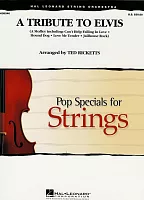 A TRIBUTE TO ELVIS   string orchestra