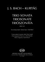 Bach: Trio Sonata BWV 525 - First Movement / 1 piano 3 hands