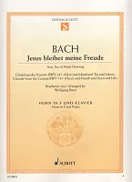 Bach: Jesus bleibet meine Freude (Jesu, Joy of Man's Desiring) BWV 147 / lesní roh a klavír